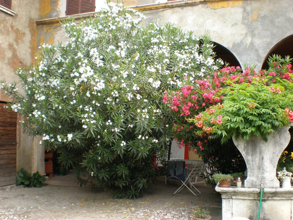 Corte Dall'Era Bed and Breakfast Brescia Exteriör bild
